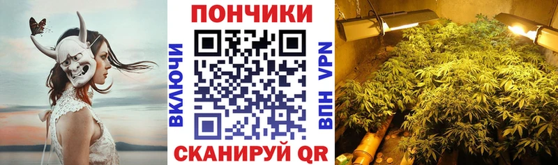 Бошки Шишки конопля  Калининск 